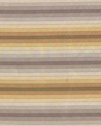 Spectrum Stripe Gold Rush by   
