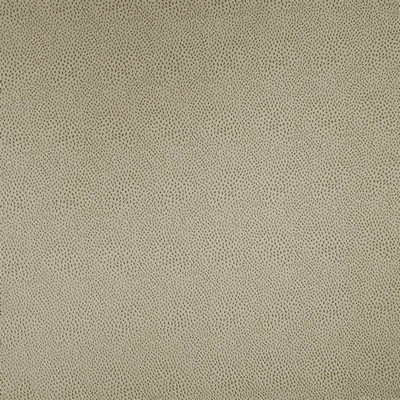 Kasmir Spontaneity Platinum in 5100 Silver Upholstery Polyester  Blend Fire Rated Fabric