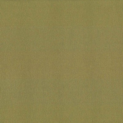 Kasmir St Dupont Olive in 5045 Green Upholstery Cotton  Blend Fire Rated Fabric