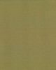 Kasmir ST DUPONT        OLIVE           