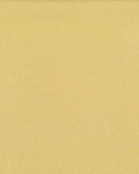 St Dupont Summer by  Kasmir 