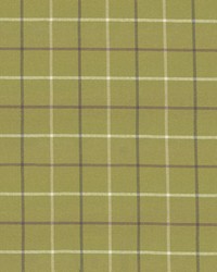 Steinbeck Check Palm by   