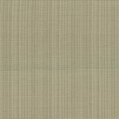 Kasmir Strasse Leaf in 5030 Green Upholstery Cotton  Blend Fire Rated Fabric