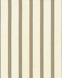 Stripe Delight Taupe by  Kasmir 