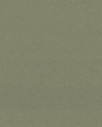 Sumptuous Sage by  Kasmir 