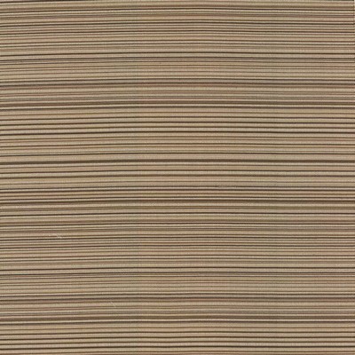Kasmir Sunset Boulevard Latte in TAG-A-LONGS VOL 10 Beige Upholstery Polyester  Blend Fire Rated Fabric