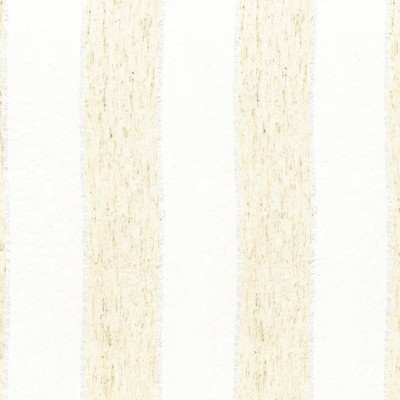 Kasmir Sutton Stripe White in SHEER SIMPLICITY White Polyester  Blend Fire Rated Fabric NFPA 701 Flame Retardant   Fabric