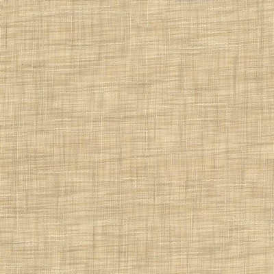 Kasmir Tao Texture Parchment in 5061 Beige Polyester  Blend Fire Rated Fabric Solid Faux Silk  Casement   Fabric