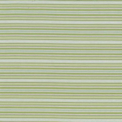 Kasmir Tatiana Stripe Aspen in 5074 Multi Upholstery Cotton  Blend Fire Rated Fabric Horizontal Striped   Fabric