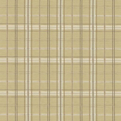 Kasmir Tobago Plaid Natural in HIGH SOCIETY Beige Upholstery Cotton  Blend Fire Rated Fabric