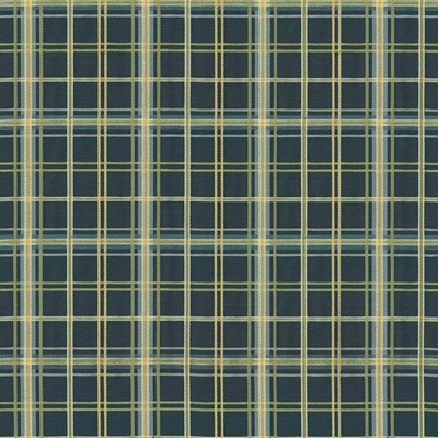 Kasmir Tobago Plaid Nautical in HIGH SOCIETY Brown Upholstery Cotton  Blend Fire Rated Fabric