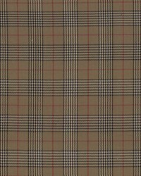 Tuckerton Black Walnut by   