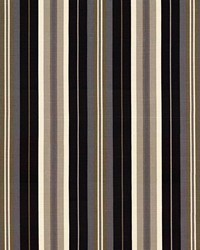 Kasmir Twitter Stripe Black Fabric