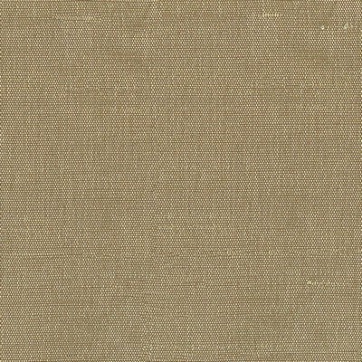 Kasmir Unforgettable Burlap in DOMAIN VOL 1 Brown Upholstery Polyester  Blend Fire Rated Fabric NFPA 701 Flame Retardant   Fabric