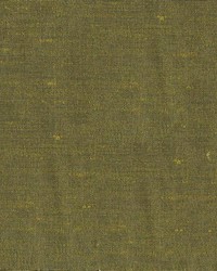 Unforgettable Olive by  Kasmir 