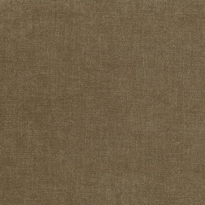 Kasmir Vestige Truffle in 5051 Brown Upholstery Polyester  Blend Fire Rated Fabric Traditional Chenille  NFPA 701 Flame Retardant   Fabric