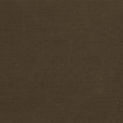 Kasmir Wrinkle In Time Coffee in 5047 Brown Upholstery Polyester  Blend Fire Rated Fabric NFPA 701 Flame Retardant   Fabric