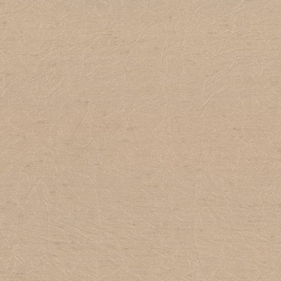 Kasmir Wrinkle In Time Sand in 5047 Beige Upholstery Polyester  Blend Fire Rated Fabric NFPA 701 Flame Retardant   Fabric