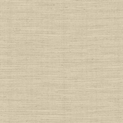 Kasmir Aegean Cloud in 5150 White Polyester  Blend Solid Faux Silk   Fabric