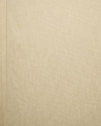 Afternoon Mushroom by   