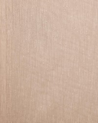 Afternoon Terracotta by   