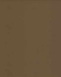 Alta Vista Chestnut by   