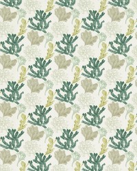 Aquata 110 Turquoise by   