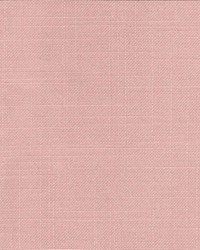 Belclaire Blossom by   