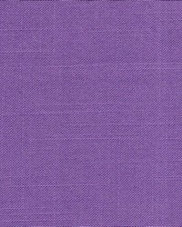 Belclaire Purple by   