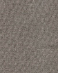 Belclaire Taupe by   