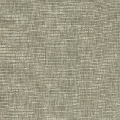 Kasmir Beltran Elephant in 5163 Grey Drapery Polyester  Blend Medium Duty Solid Faux Silk  NFPA 701 Flame Retardant   Fabric