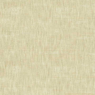 Kasmir Beltran Papyrus in 5163 Drapery Polyester  Blend Medium Duty Solid Faux Silk  NFPA 701 Flame Retardant   Fabric