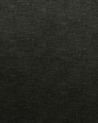 Kasmir Bluffhaven Black Fabric