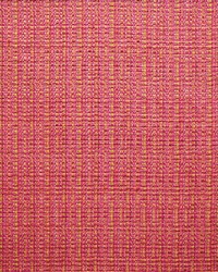 Bouvier Fruit Punch by  Michael Jon Designs 