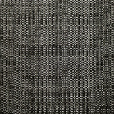 Kasmir Bouvier Granite in 1466 Black Polyester
24%  Blend Fire Rated Fabric Traditional Chenille  Heavy Duty CA 117  NFPA 260   Fabric
