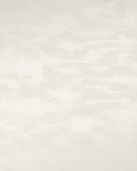 Braccio Off White by   