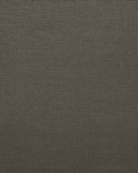 Brandenburg Cindersmoke by   