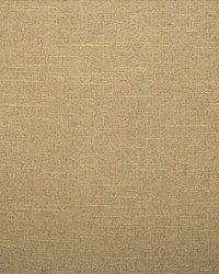 Brandenburg Desert by   