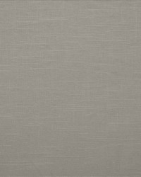 Brandenburg Dolphin by   