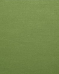 Brandenburg Kelly Green by   