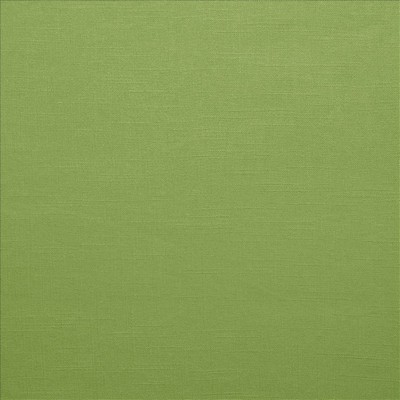 Kasmir Brandenburg Leaf Green Linen
45%  Blend Fire Rated Fabric Medium Duty CA 117  NFPA 260  Solid Color Linen  Fabric