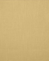 Brandenburg Natural by   