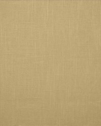 Brandenburg Putty by   