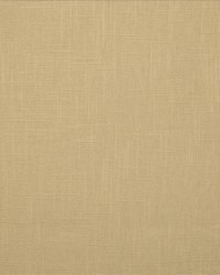 Brandenburg Raffia by   