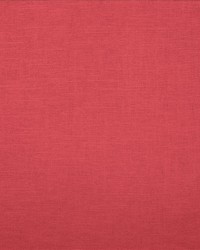 Brandenburg Watermelon by   