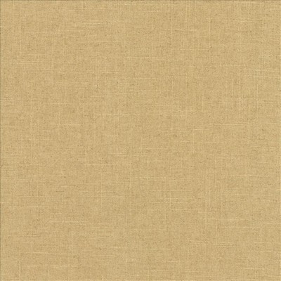 Kasmir Brigadoon Plantain Beige Linen
45%  Blend Fire Rated Fabric Heavy Duty CA 117  NFPA 260  Solid Color Linen  Fabric