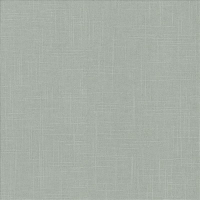Kasmir Brigadoon Steel Grey Linen
45%  Blend Fire Rated Fabric Heavy Duty CA 117  NFPA 260  Solid Color Linen  Fabric