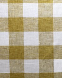 Buffalo Dandelion by   