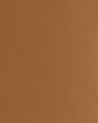 By Design Caramel by   