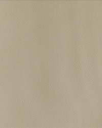 By Design Cashmere by   